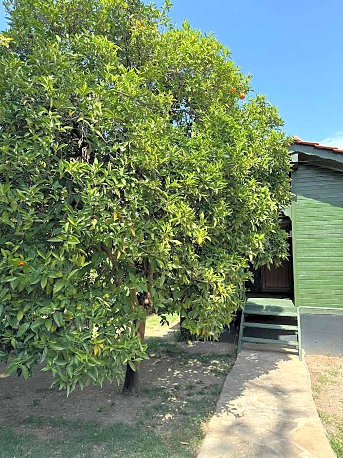 Hotel Yavuz Bungalow