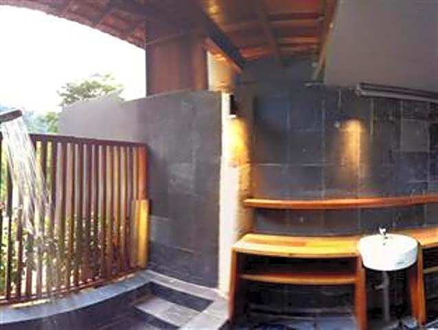 The Shorea