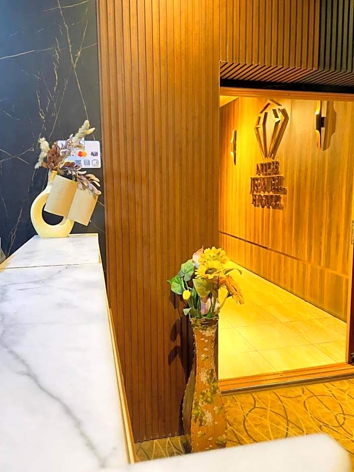 Nile jewel hotel beni suef