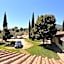 Oasi Del Verde