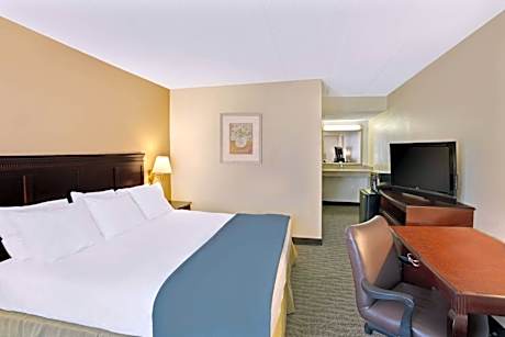 1 King Bed Non-Smoking