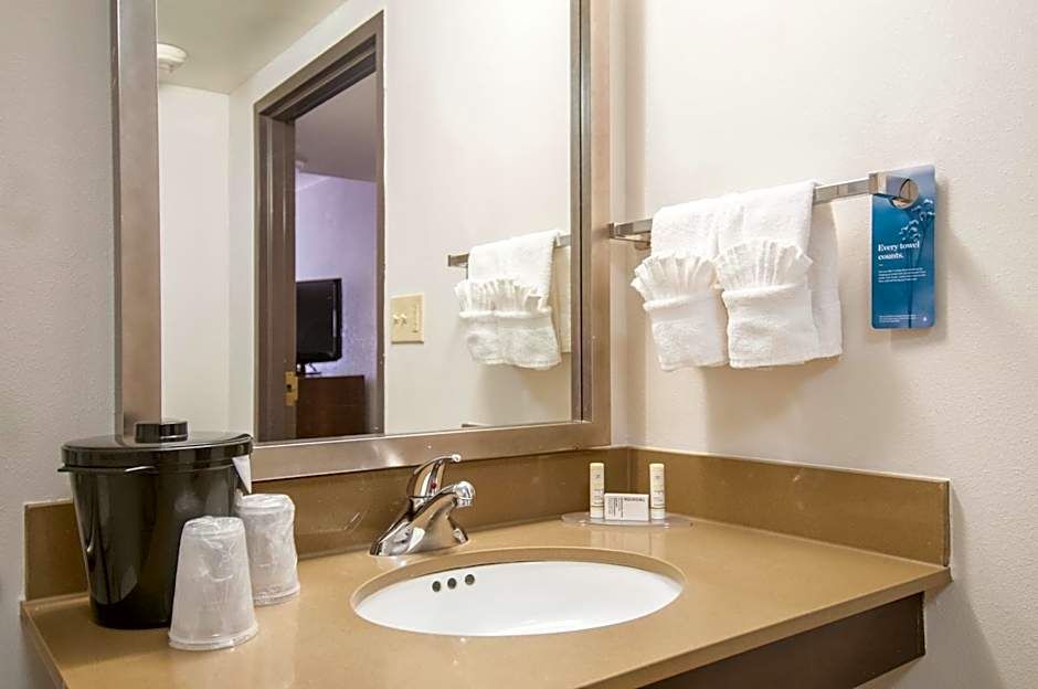 Fairfield Inn & Suites by Marriott Dallas Dfw Airport South/Irving