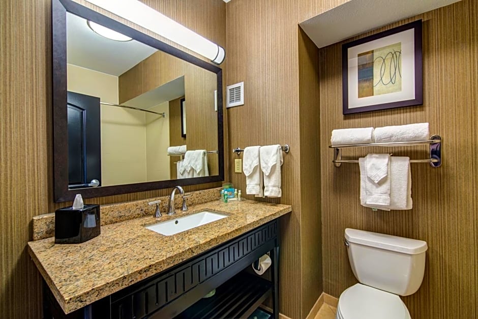 Holiday Inn Arlington Northeast By IHG