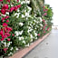 Bahrain Beach Bay