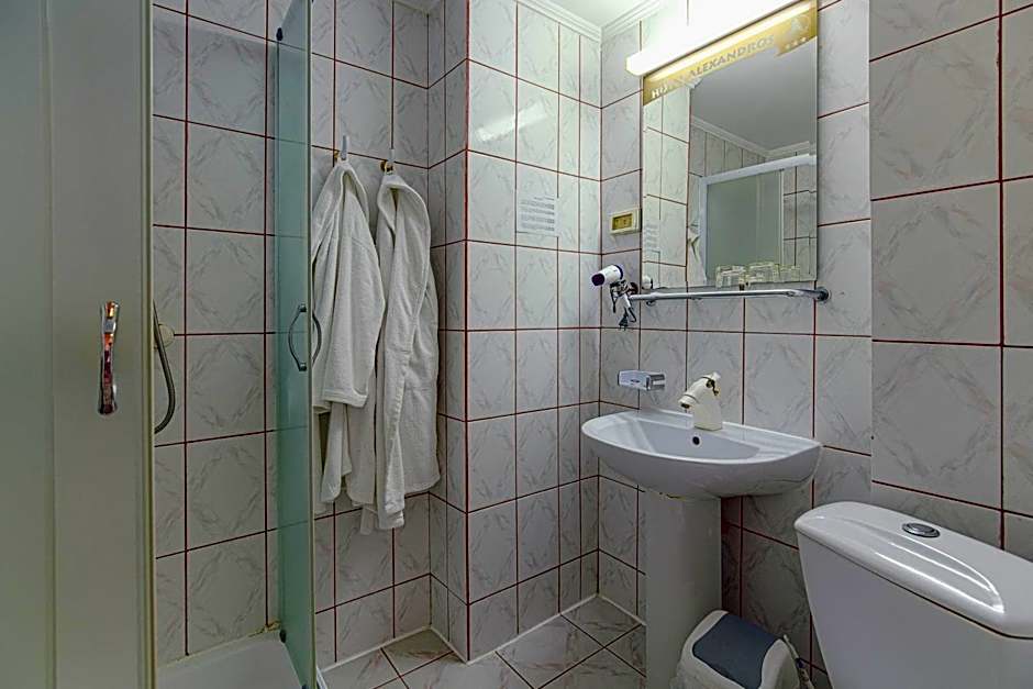 Hotel Alexandros Busteni