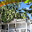 Paradise Inn
