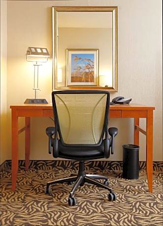 King Room with Tub - Mobility and Hearing Access