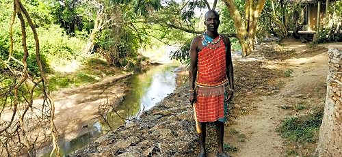 Fig Tree Camp - Maasai Mara