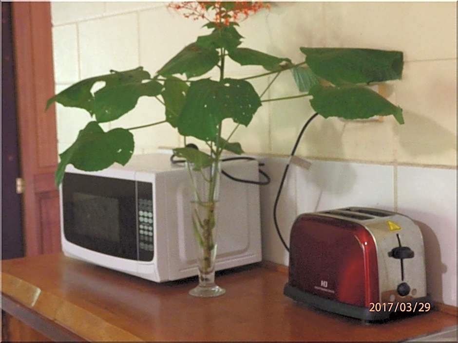 Daintree Deep Forest Lodge