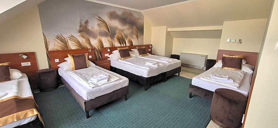 Hotel Patonai