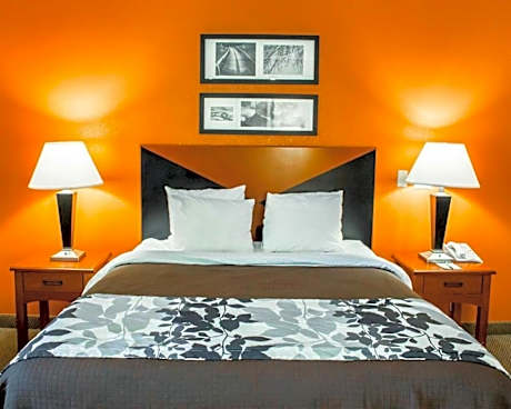 King Room -Hearing accessible (only)/Non-Smoking