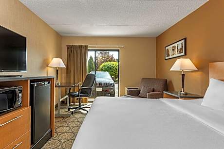 1 King Bed, Nonsmoking, Upgrade