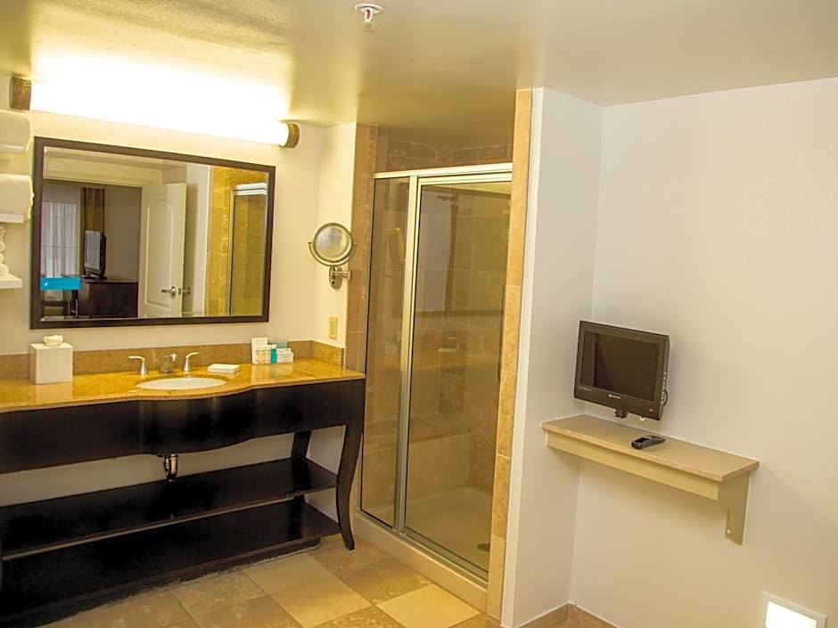 Hampton Inn By Hilton & Suites Albany-Downtown, NY