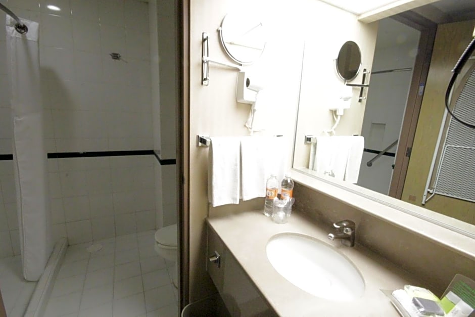 Holiday Inn Leon-Convention Center By IHG