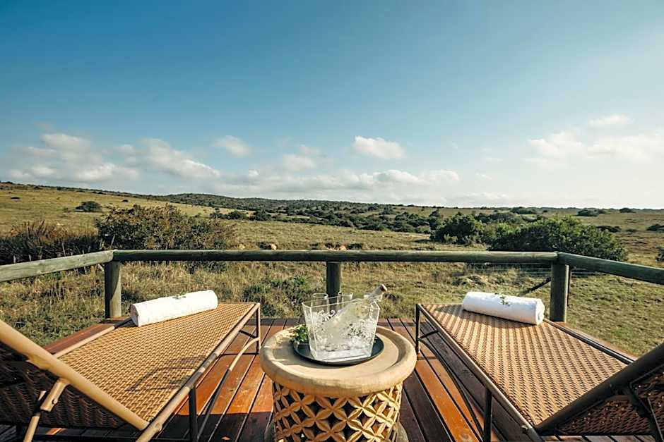 Hlosi Game Lodge - Amakhala Game Reserve