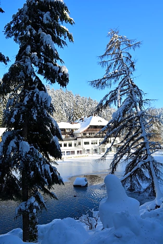 Hotel Langenwaldsee