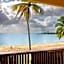 Starfish Tobago