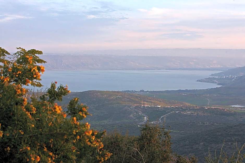 Switzerland In Amirim