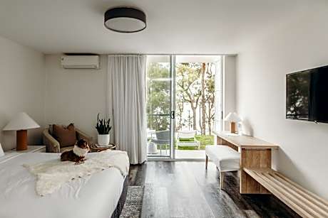 Queen Room - Pet-Friendly