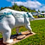 Clarion Pointe Cherokee