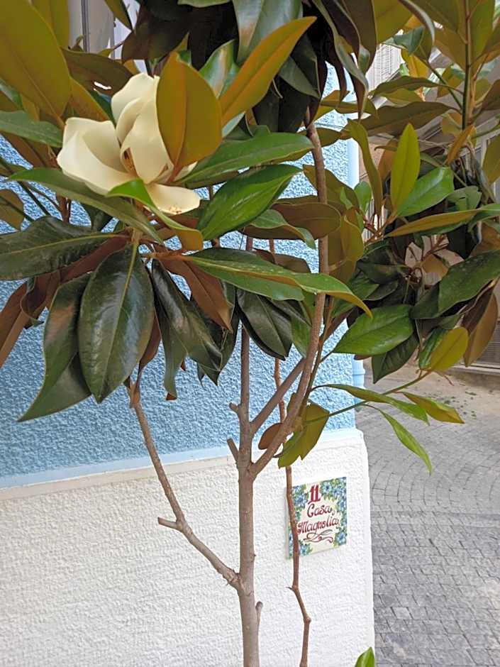 Casa Magnolia Boutique Rooms