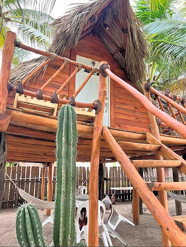 Casa Lians