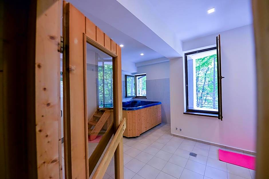 Hotel Posada Vidraru