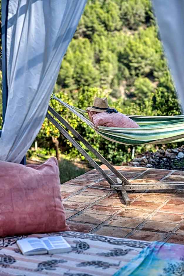 Villa Morera Bed & Breakfast