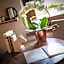 VillAmour Boutique Hotel & SPA