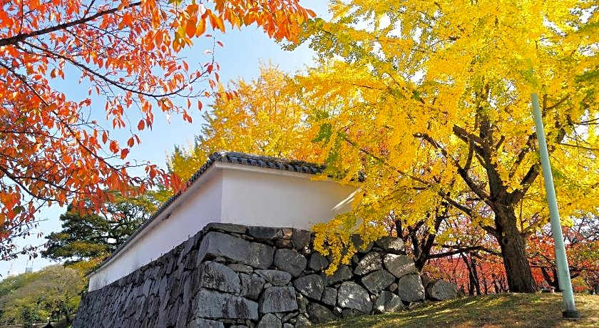 Boxi Hakata 2