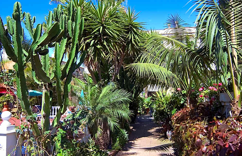 Hotel Don Manolito