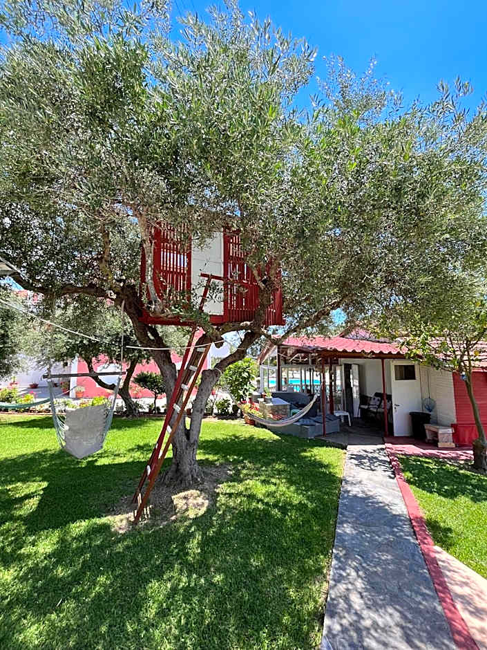 Amazona Apartments and Studios