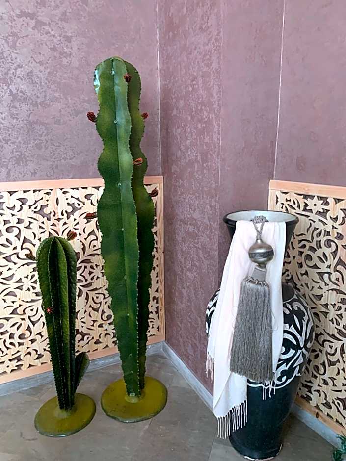 RIAD LE PATIO ROMANTIQUE