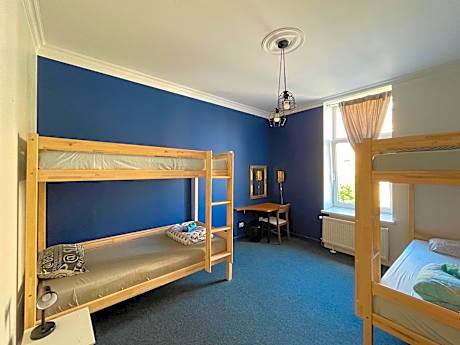 Bed in 4-Bed Mixed Dormitory Room