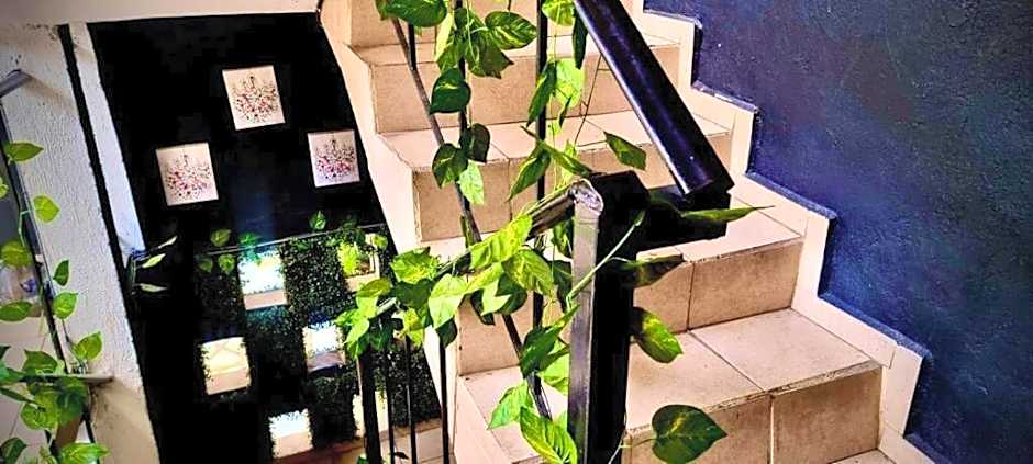 MINI HOTEL San Luis Potosí