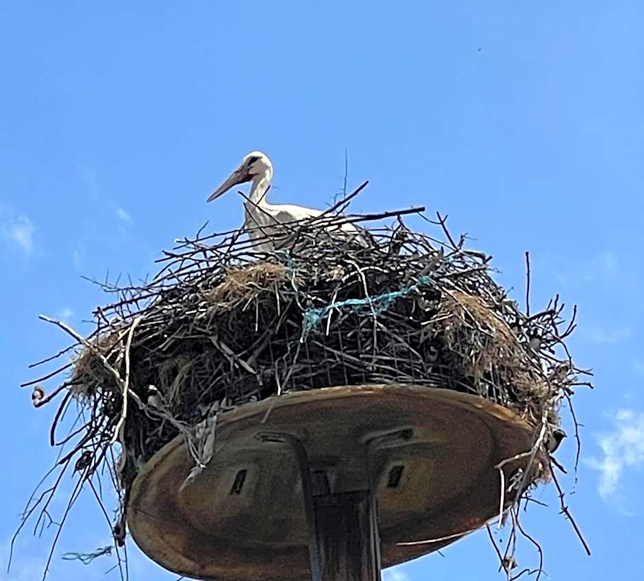 Hotel Frankenthaler Hof