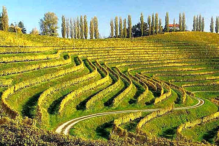 Garni Hotel Villa Tamara