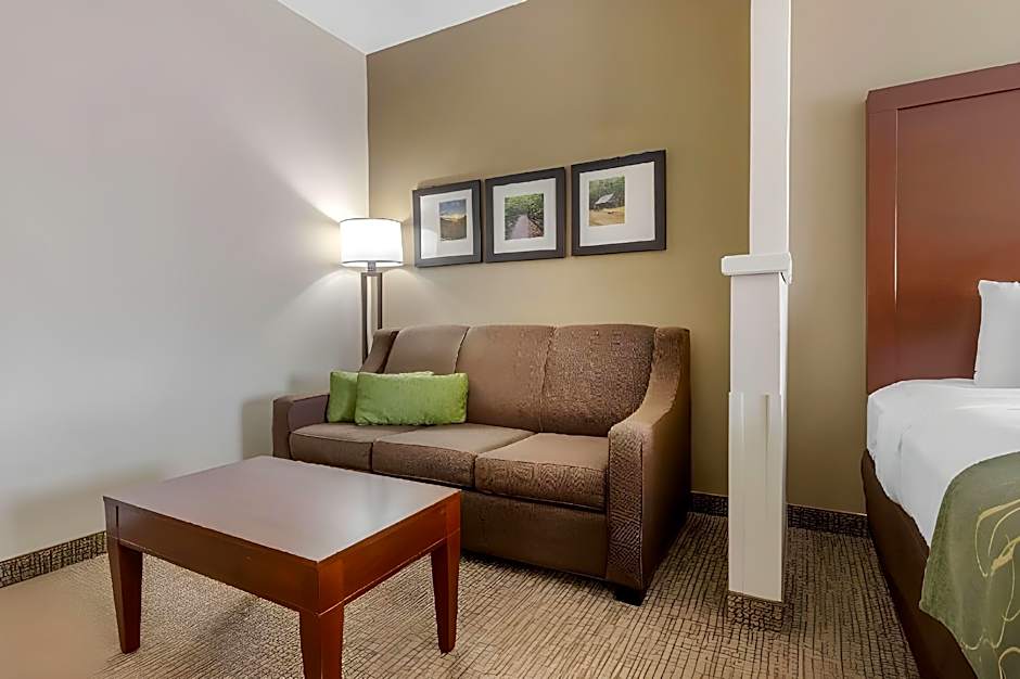 Comfort Suites Johnson City near University
