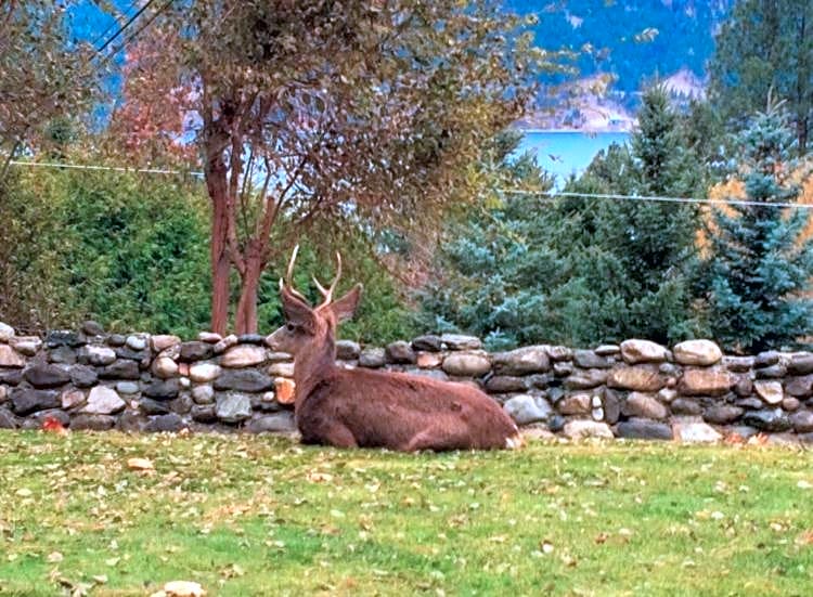 The Blue House Bed and Breakfast