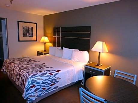 Deluxe King Room - Smoking