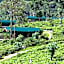 Madulkelle Tea and Eco Lodge