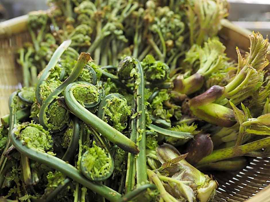 Super Hydrogen Rich Spa Yado Kanzan