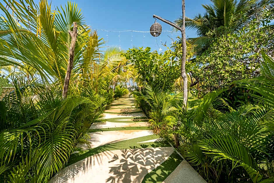 Rojo Manglar Acapulco