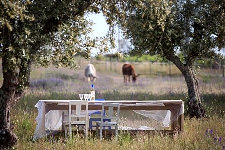 Quinta dos doze Sobreiros - Quarto Sol