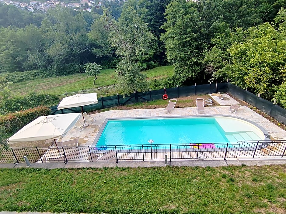 Il paradiso delle beccacce