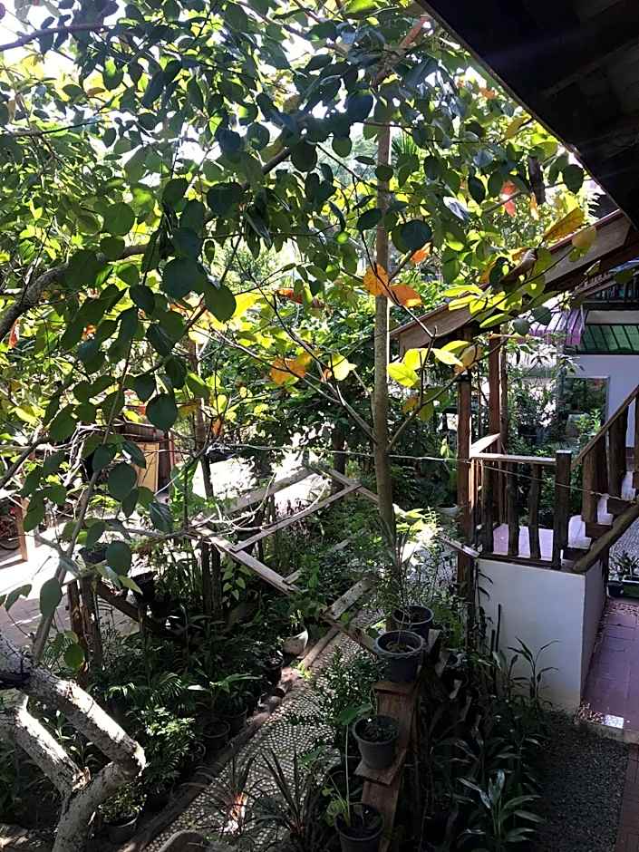 Papa Pippo Otres Village