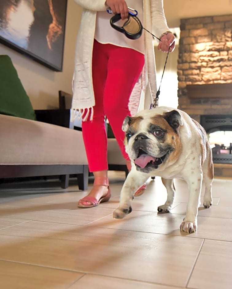 Staybridge Suites By Holiday Inn Wisconsin Dells - Lake Delton By IHG