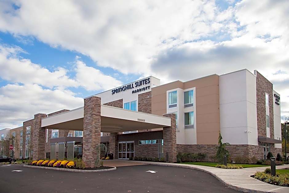 SpringHill Suites by Marriott Somerset Franklin Township