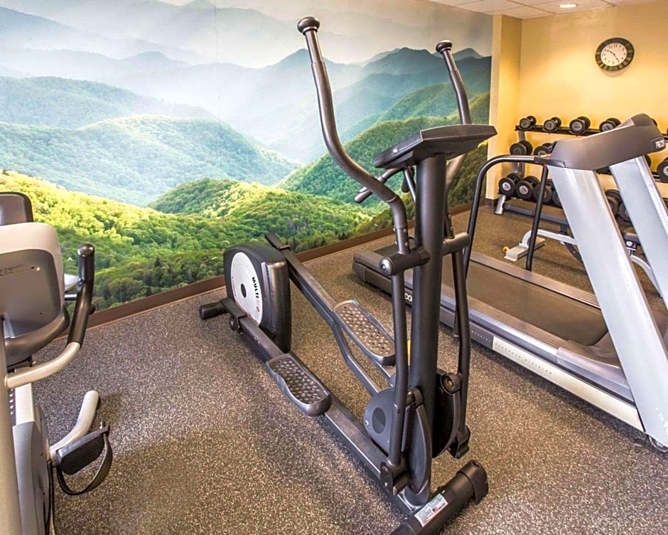 Quality Inn Jonesville I-77