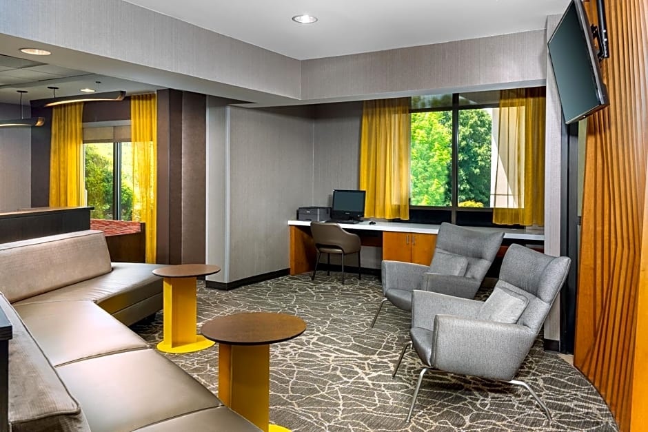 SpringHill Suites by Marriott Asheville